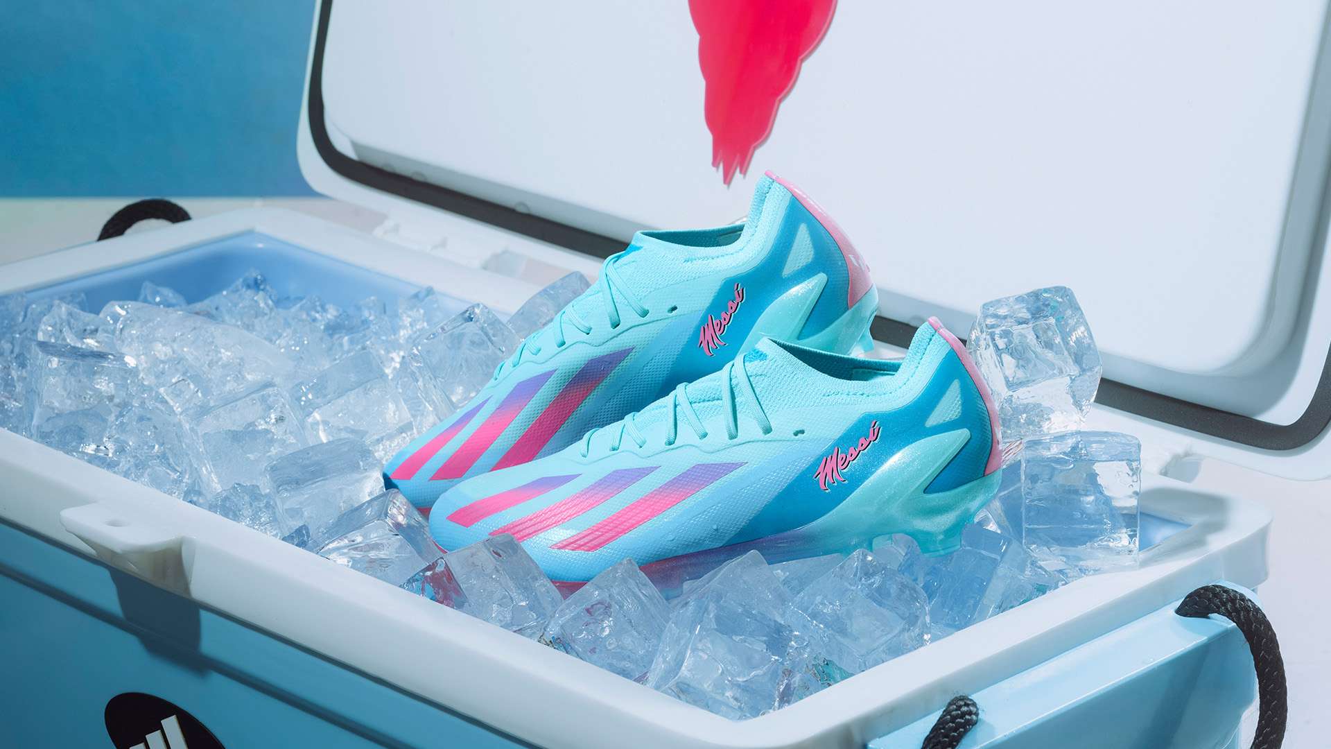 教練郎平的 教練郎平的